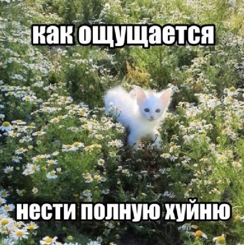 wha кощущается. 4+ нести полную ХУЙНЮ