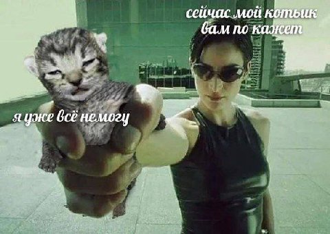 сеичас мои бам по немогу и