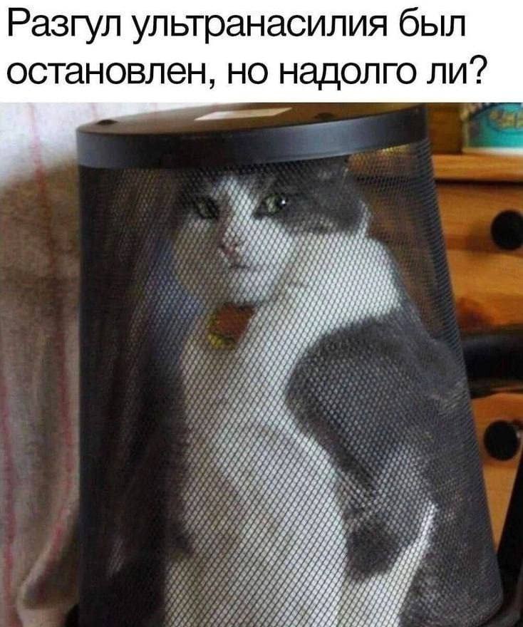 Разгул ультранасилия был остановлен, но надолго ли? 1% 70899, a8) #9 #4 #4 49 909 #99