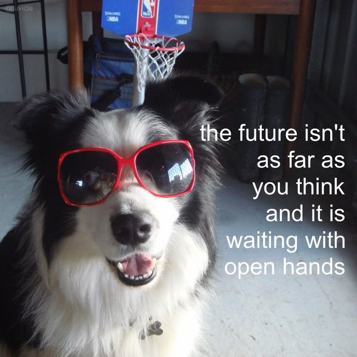 future isn't as far you think and itis waiting with open hands Wes