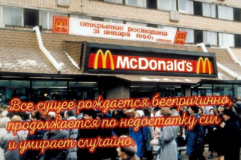 Открыт mon 31 января 1990, ана «a. nal Bee сущее САМИ и