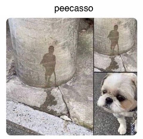 (2 fas 1 7 у я A pte 7 4 a о у 5 21 irs 4 4 7 3 1 в ‘9 at С я 4%