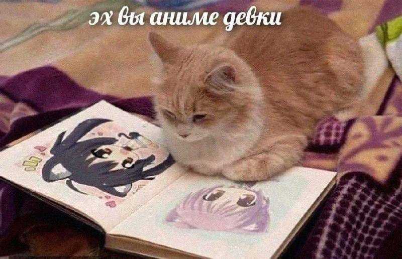вы аниме девки