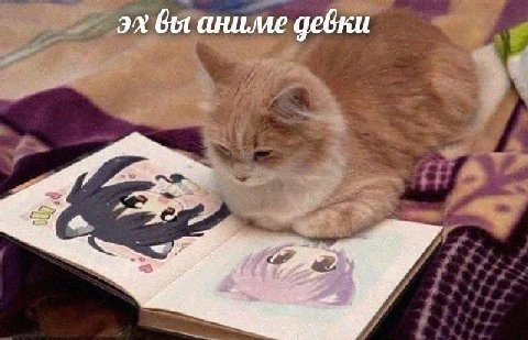 вы аниме девки