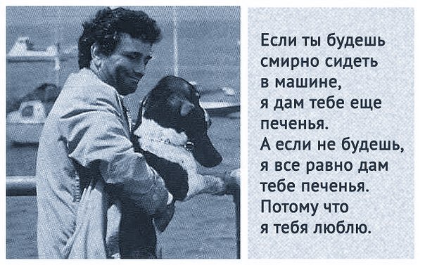 олд бат голд