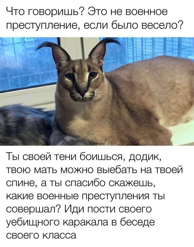 Что говоришь? Это не военное преступление, если было весело? Ты своей тени боишься, додик, твою мать можно выебать на твоей спине, а ты спасибо скажешь, какие военные преступления ты совершал?? Иди по
