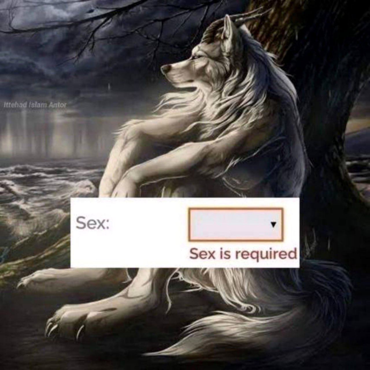 Sex Sex is required