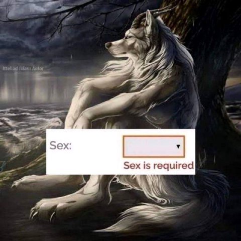 Sex Sex is required