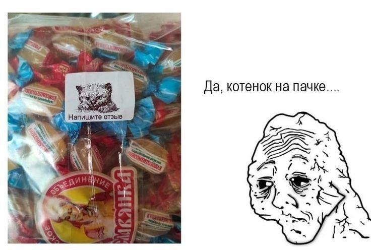 Да, котенок Напи отзыв