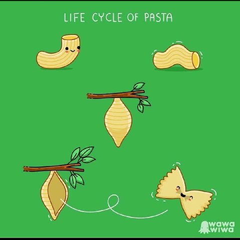 НЕЕ CYCLE OF PASTA
