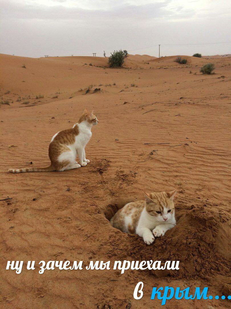 и зачем мы приехали