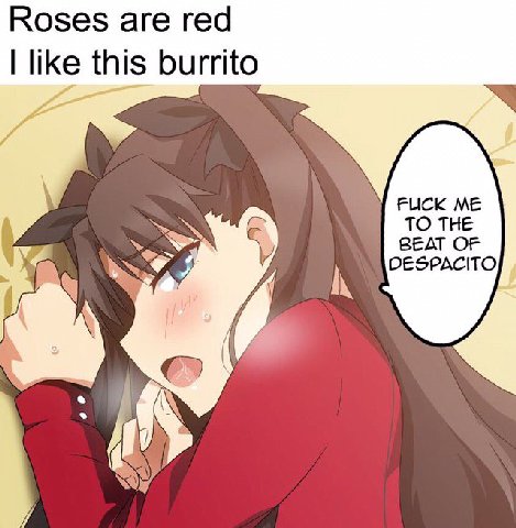 Roses are red like this burrito FUCK ME TO THE DESPACITO BEAT OF IN