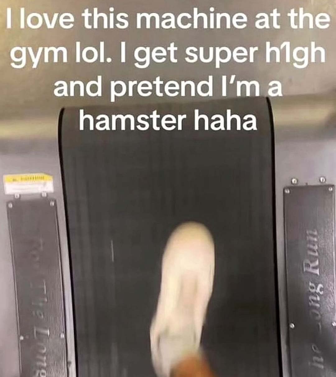 love this machine at the gym lol. get super and pretend а hamster haha
