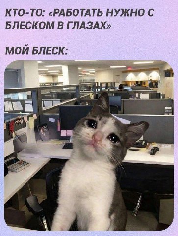 КТО-ТО: «РАБОТАТЬ НУЖНО С БЛЕСКОМ В ГЛАЗАХ» МОЙ БЛЕСК: У