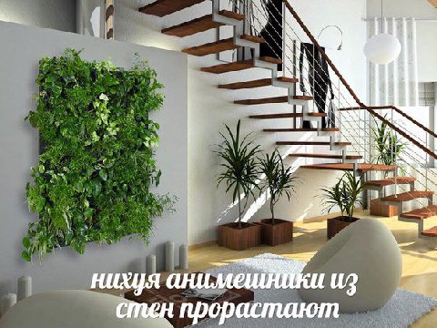 a из стен прорастают