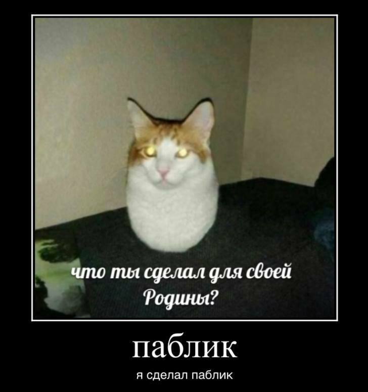 что пил сделал для своей Родины? паблик я сделал паблик