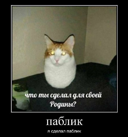 что пил сделал для своей Родины? паблик я сделал паблик