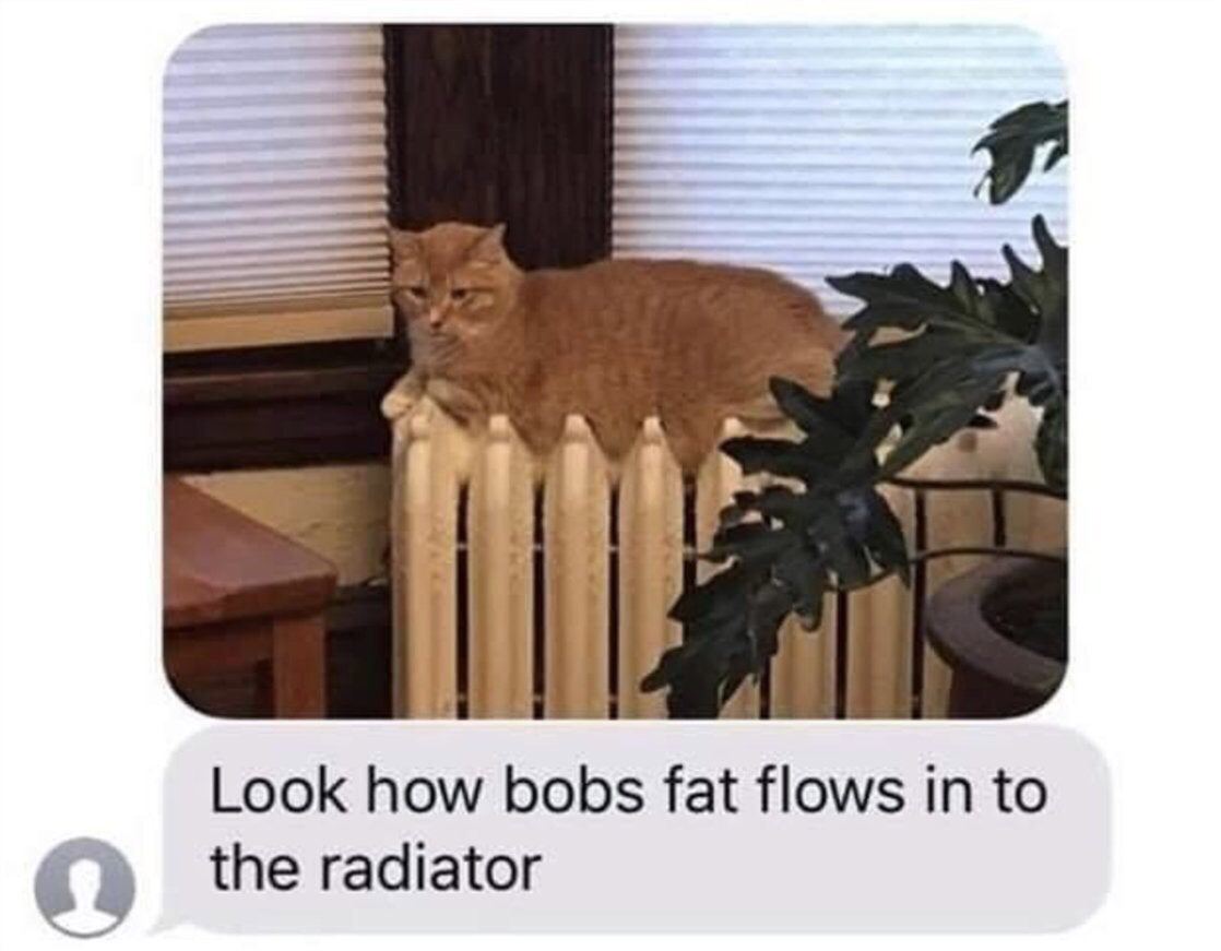 В Look how bobs fat flows in to the radiator
