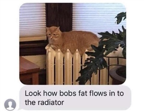 В Look how bobs fat flows in to the radiator