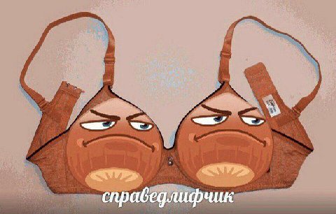 спрабедлифчик