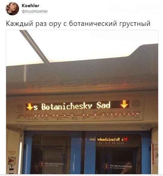 Koehler hKoehler Каждый раз ору с ботанический грустный Botanichesky Sad
