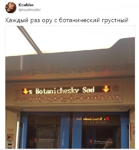 Koehler hKoehler Каждый раз ору с ботанический грустный Botanichesky Sad