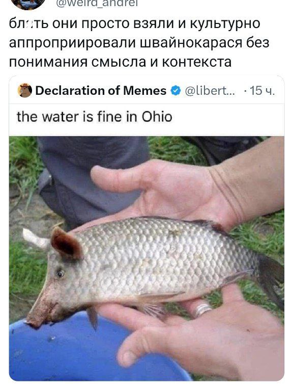 они просто взяли и культурно аппроприировали швайнокарася без понимания смысла и контекста Declaration of Memes @libert... the water is fine in Ohio
