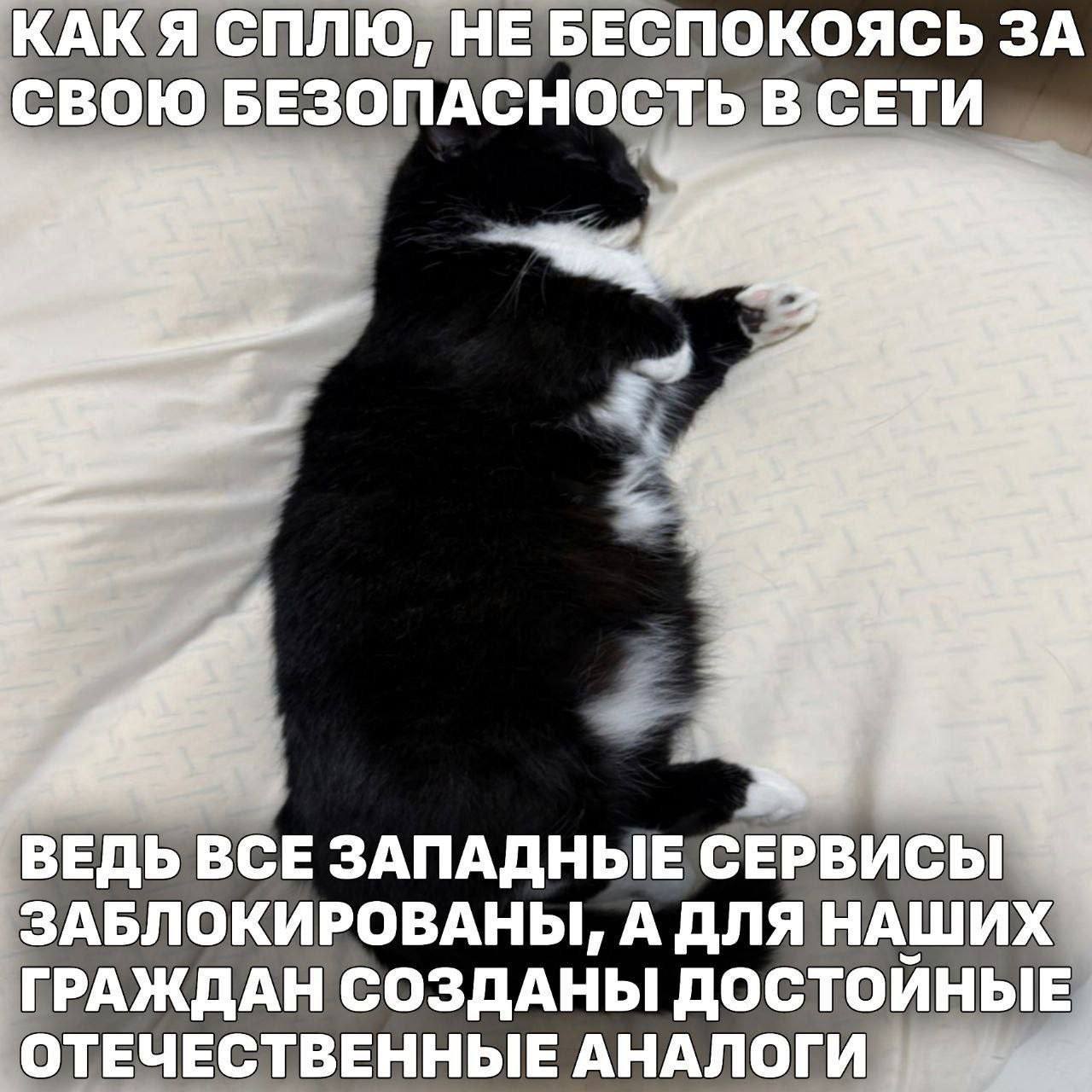 КАК Я СПЛЮ, НЕБЕСПОКОЯСЬ ЗА СВОЮ БЕЗОПАСНОСТЬВ СЕТИ ВЕДЬ ВСЕ ЗАПАДНЫЕ СЕРВИСЫ ЗАБЛОКИРОВАНЫ, А ДЛЯ НАШИХ ГРАЖДАН СОЗДАНЫ ДОСТОЙНЫЕ ОТЕЧЕСТВЕННЫЕ АНАЛОГИ