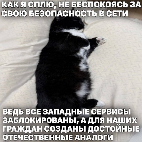 КАК Я СПЛЮ, НЕБЕСПОКОЯСЬ ЗА СВОЮ БЕЗОПАСНОСТЬВ СЕТИ ВЕДЬ ВСЕ ЗАПАДНЫЕ СЕРВИСЫ ЗАБЛОКИРОВАНЫ, А ДЛЯ НАШИХ ГРАЖДАН СОЗДАНЫ ДОСТОЙНЫЕ ОТЕЧЕСТВЕННЫЕ АНАЛОГИ
