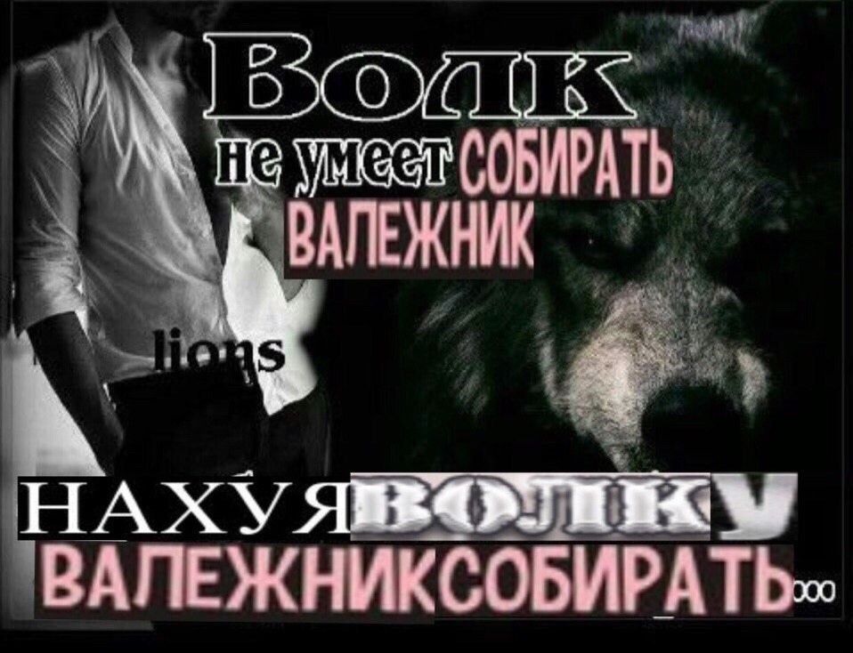 ЕЖНИК HAXY ВАЛЕЖНИКСОБИРАТЬ,»