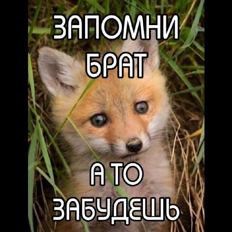 ЗАПОМНИ” АТО ЗАБУДЕШЬ