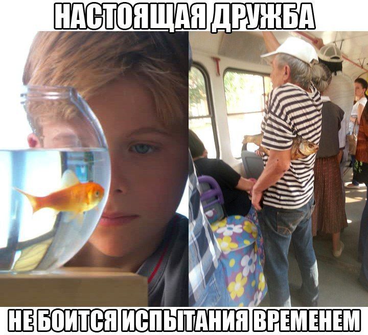 НЕБОИТСЯ ВРЕМЕНЕМ