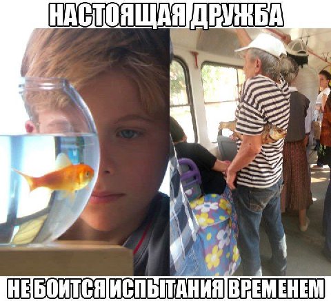 НЕБОИТСЯ ВРЕМЕНЕМ