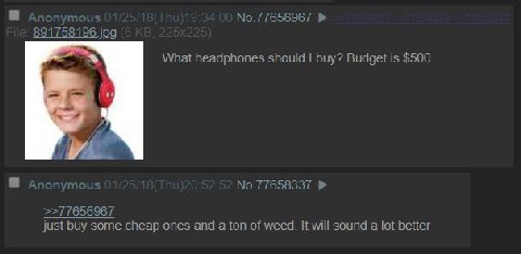 891758196 jpg What headphones should buy? Budget is $500. 4 No.77658337 >>77656967 just buy some cheap ones and a ton of weed. It will sound а lot better