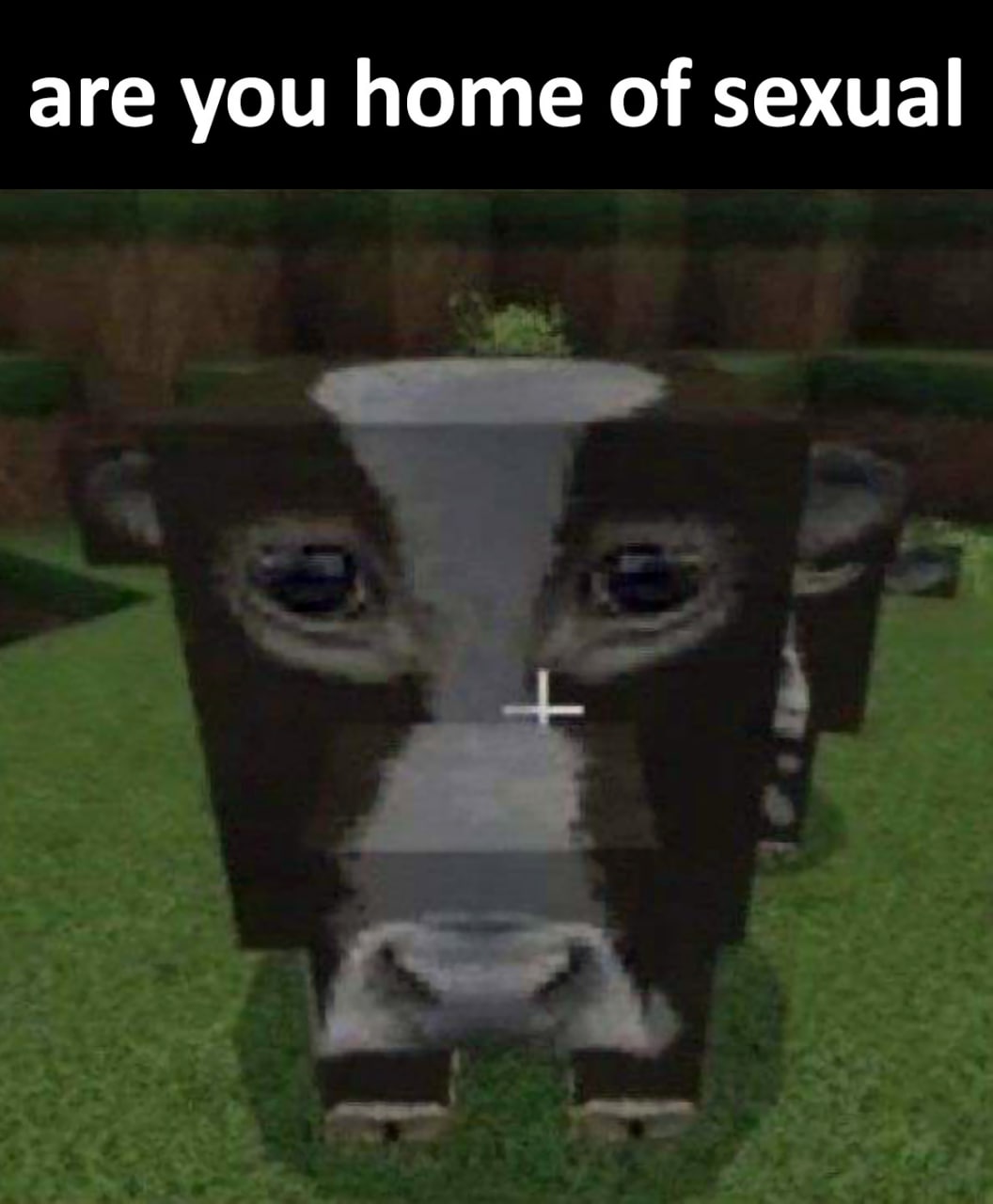 are you home of sexual