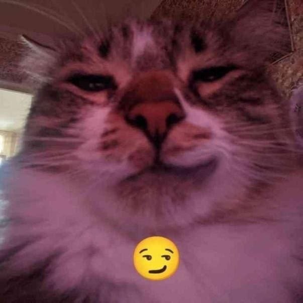 у