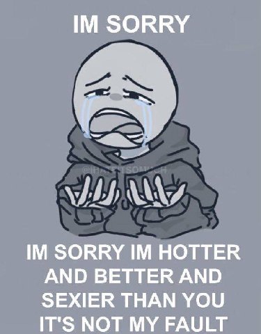 SORRY SORRY HOTTER AND BETTER AND SEXIER THAN YOU IT'S NOT MY FAULT