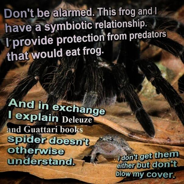 meh