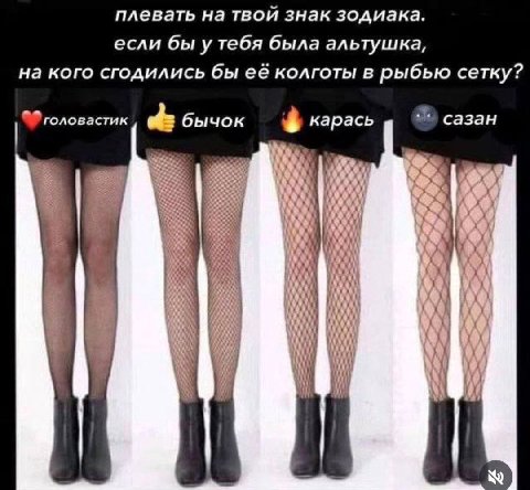 плевать на твой знак зодиака. если бы у тебя была альтушка, на кого сгодились бы её колготы в рыбью сетку? головастик бычок карась сазан 4] 1] i