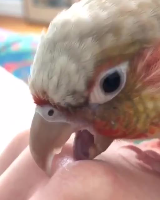 у