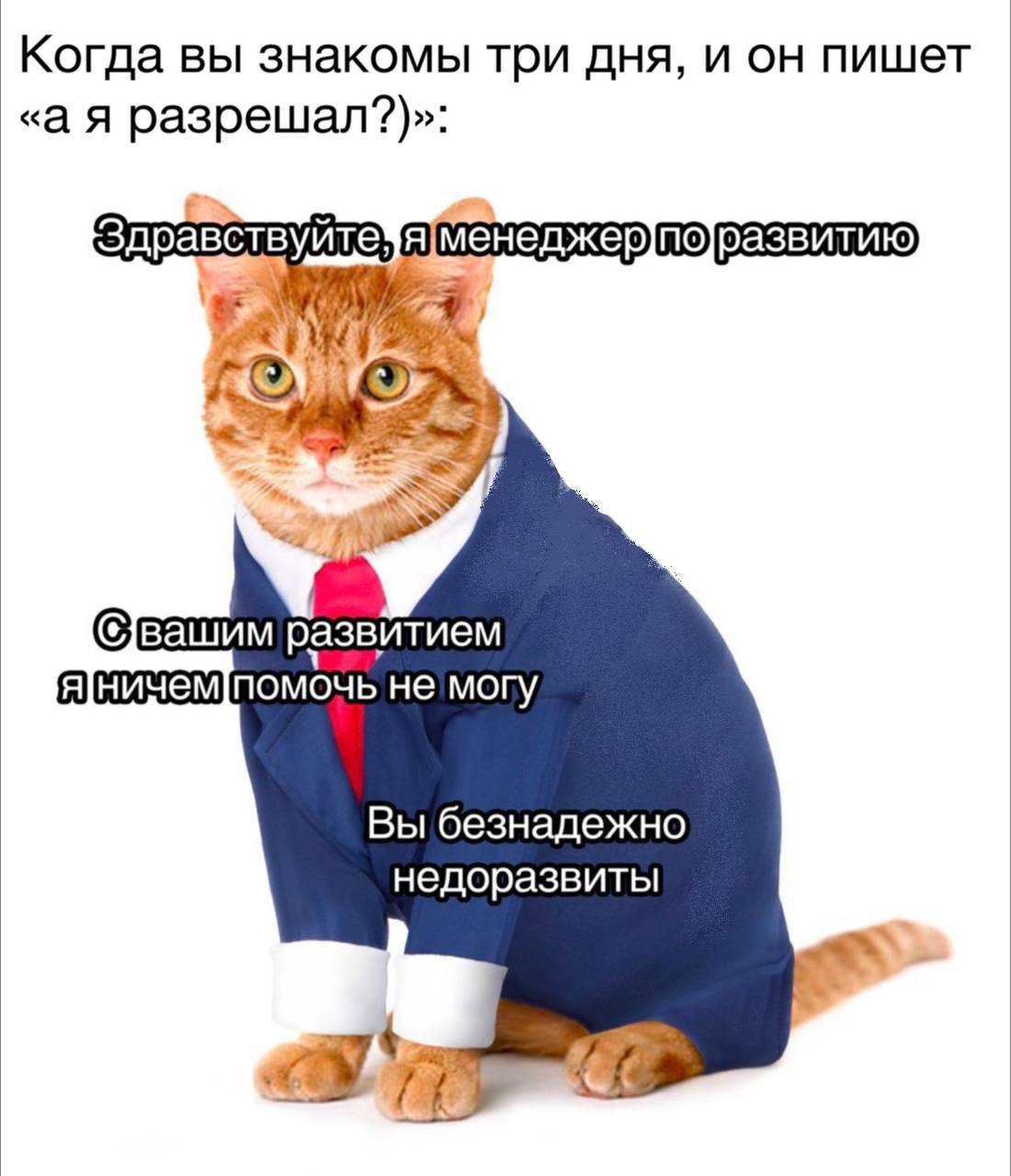 Когда вы знакомы три дня, и он пишет «а я разрешал?)» Здравствуйте Я у развитием ПОМОЧЬ немогу Вы безнадежно недоразвиты