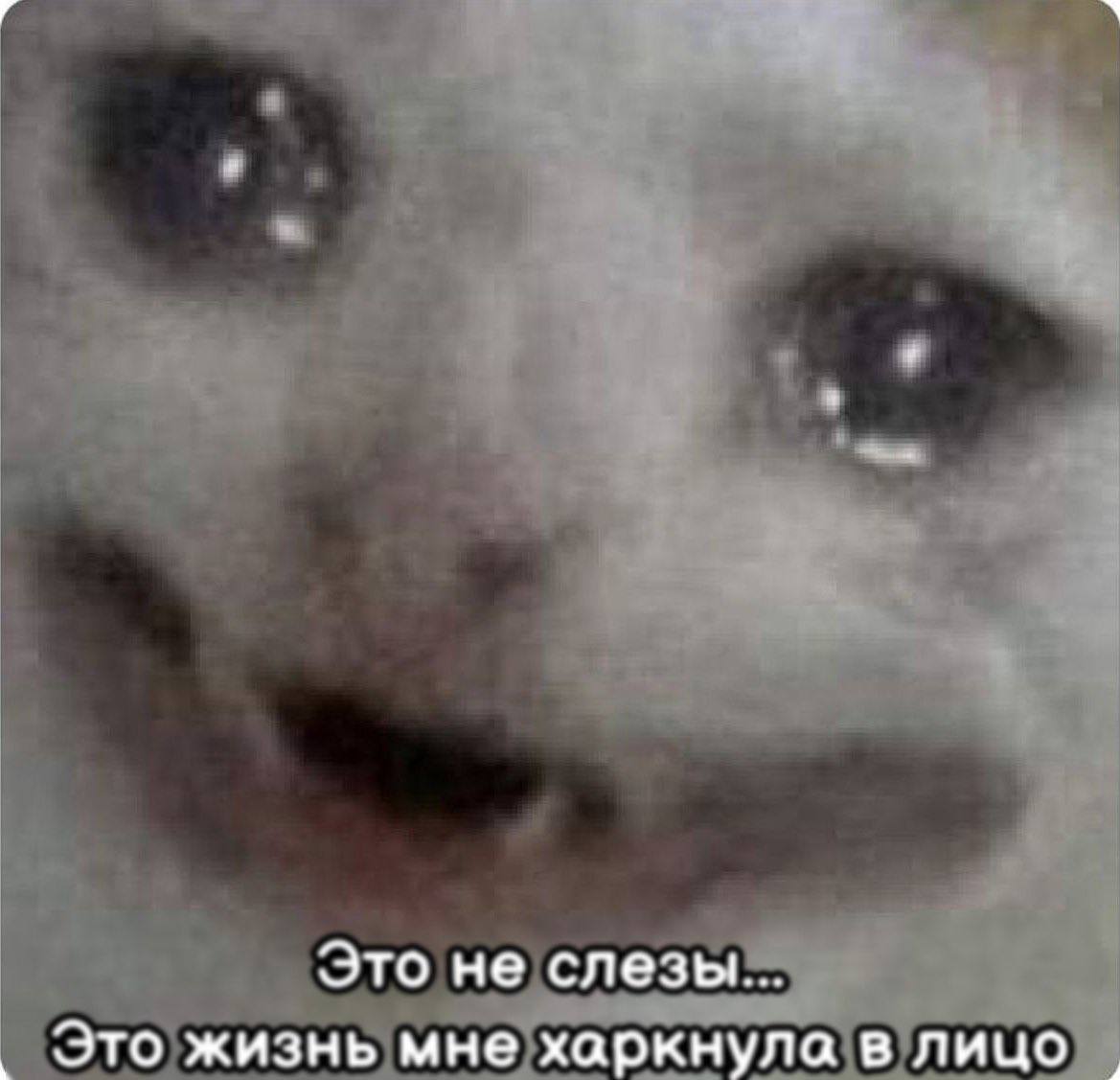 Это не слезы... Это жизнь мне харкнула в лицо