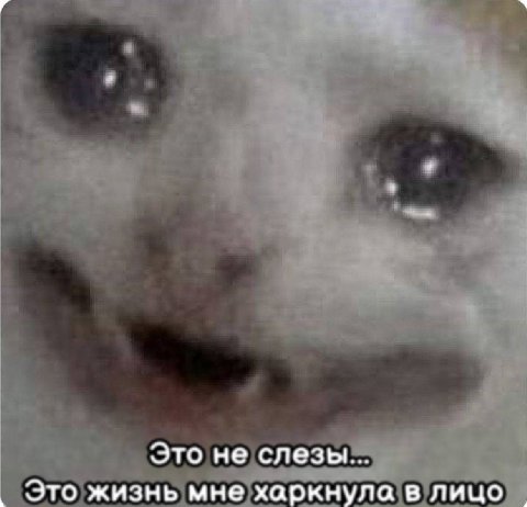 Это не слезы... Это жизнь мне харкнула в лицо