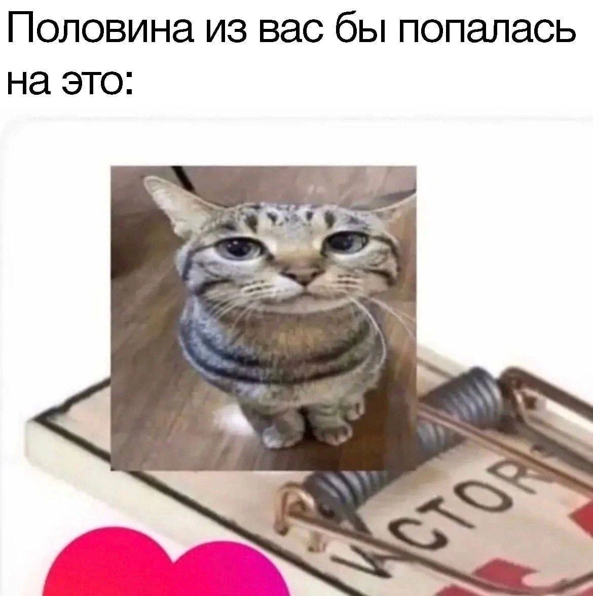 Половина из вас бы попалась на это: