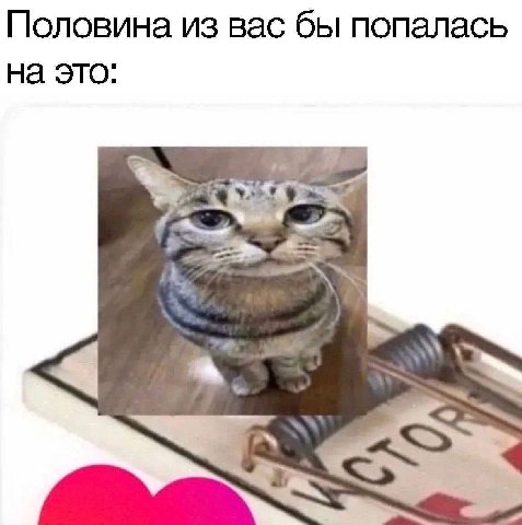Половина из вас бы попалась на это:
