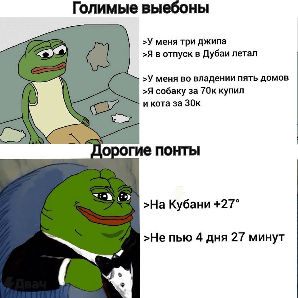 Голимые выебоны a >У меня три джипа >Я в отпуск в Дубаи летал >У меня во владении пять домов >Я собаку за 70к купил и кота за пПорогие понты >На Кубани +27° >Не пью 4 дня 27 минут 9