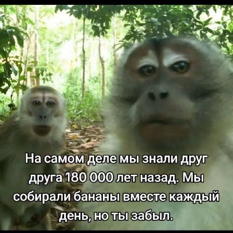 и На самом деле мы знали друг друга 180 000 лет назад. Мы собирали бананы вместе каждый день, но ты забыл.