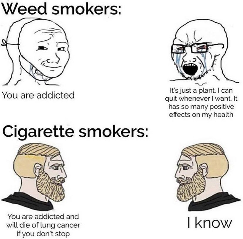 Weed smokers: It's just сап You are addicted quit whenever want. It has so many positive effects on my health Cigarette smokers: You are addicted and will die of lung cancer know if you don't stop
