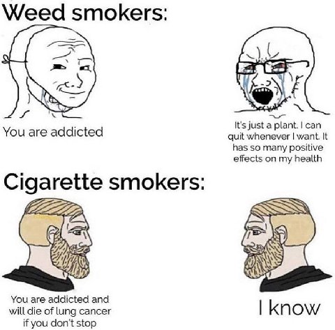 Weed smokers: It's just сап You are addicted quit whenever want. It has so many positive effects on my health Cigarette smokers: You are addicted and will die of lung cancer know if you don't stop