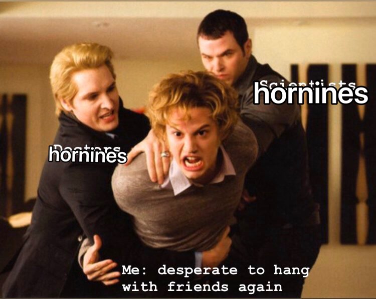 Me: desperate to hang with friends again